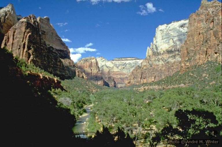 Zion National Park Campground