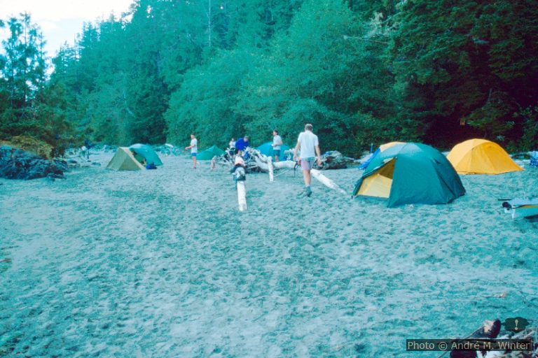 Plage au sud-est de Flores Island