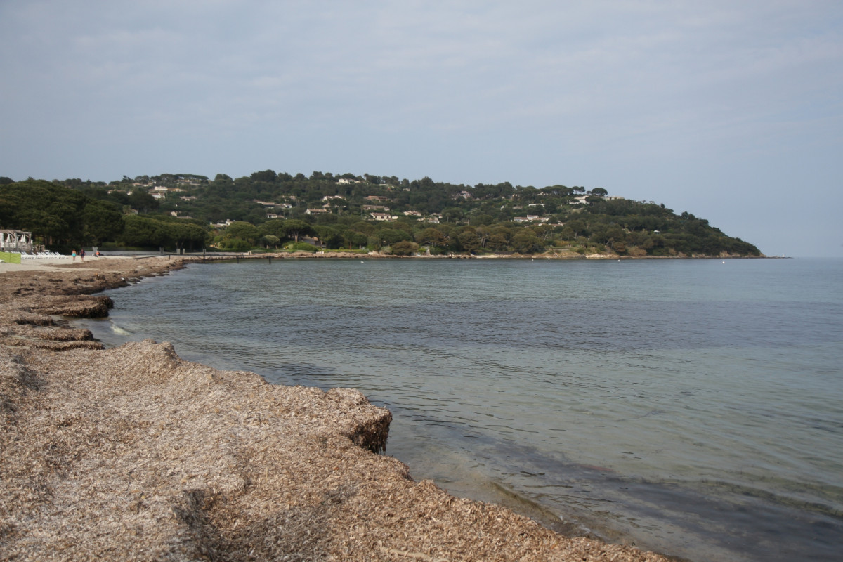 Camping La Vigneraie 1860 à Pampelonne André does…
