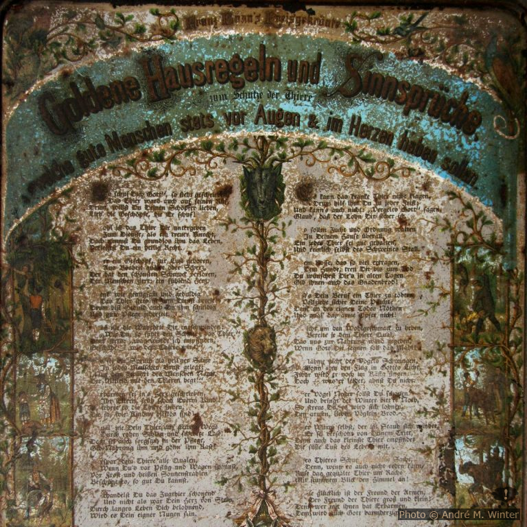 Auslandsjahr: Reglement für Kind und Eltern