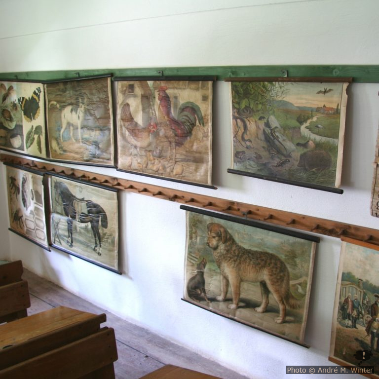 Ärgernisse mit der WordPress Mediathek