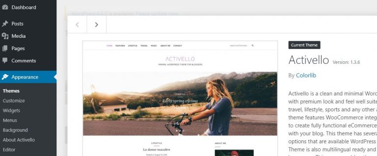 Activello Theme Fehlerkorrektur und andere Adaptierungen
