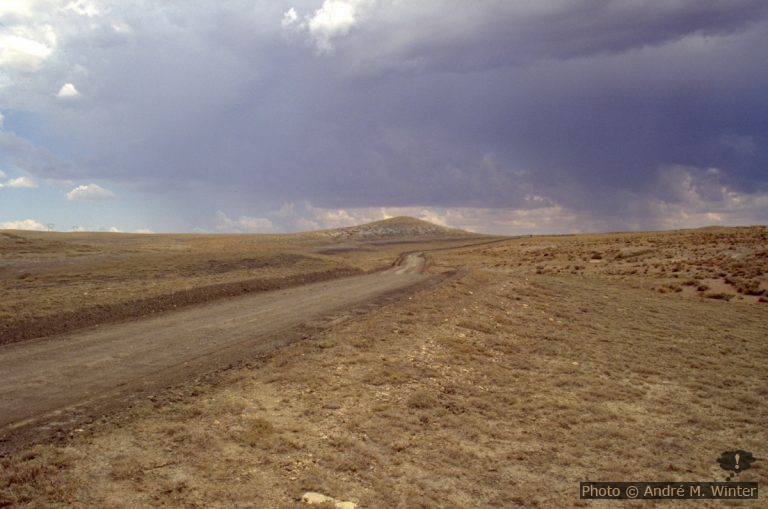 Auslandsjahr: Gastfamilenwechsel