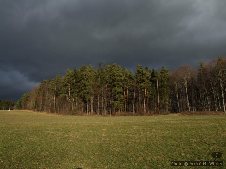 Auslandsjahr: Ankunft vor Ort und falsche Schulklasse