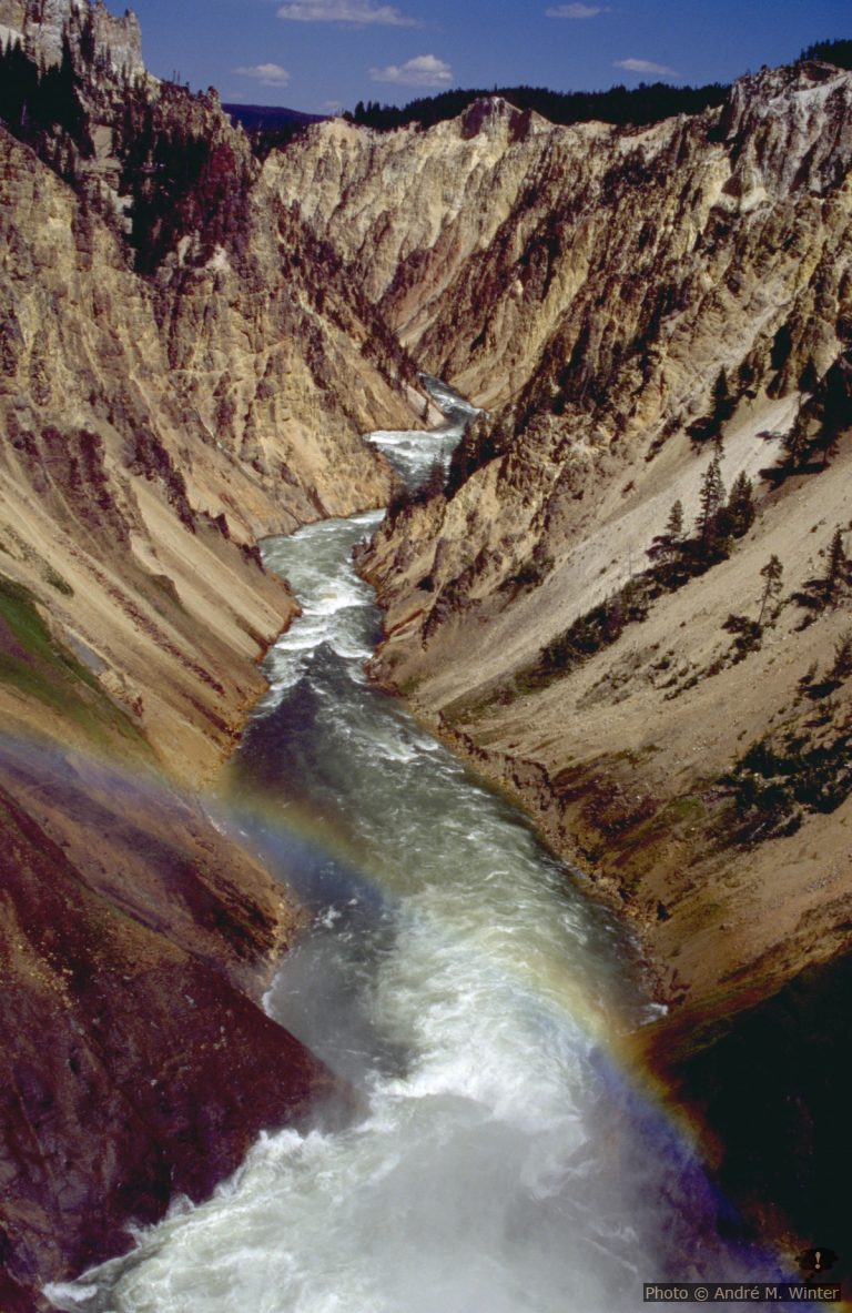 Yellowstone Nationalpark South Loop von Norden