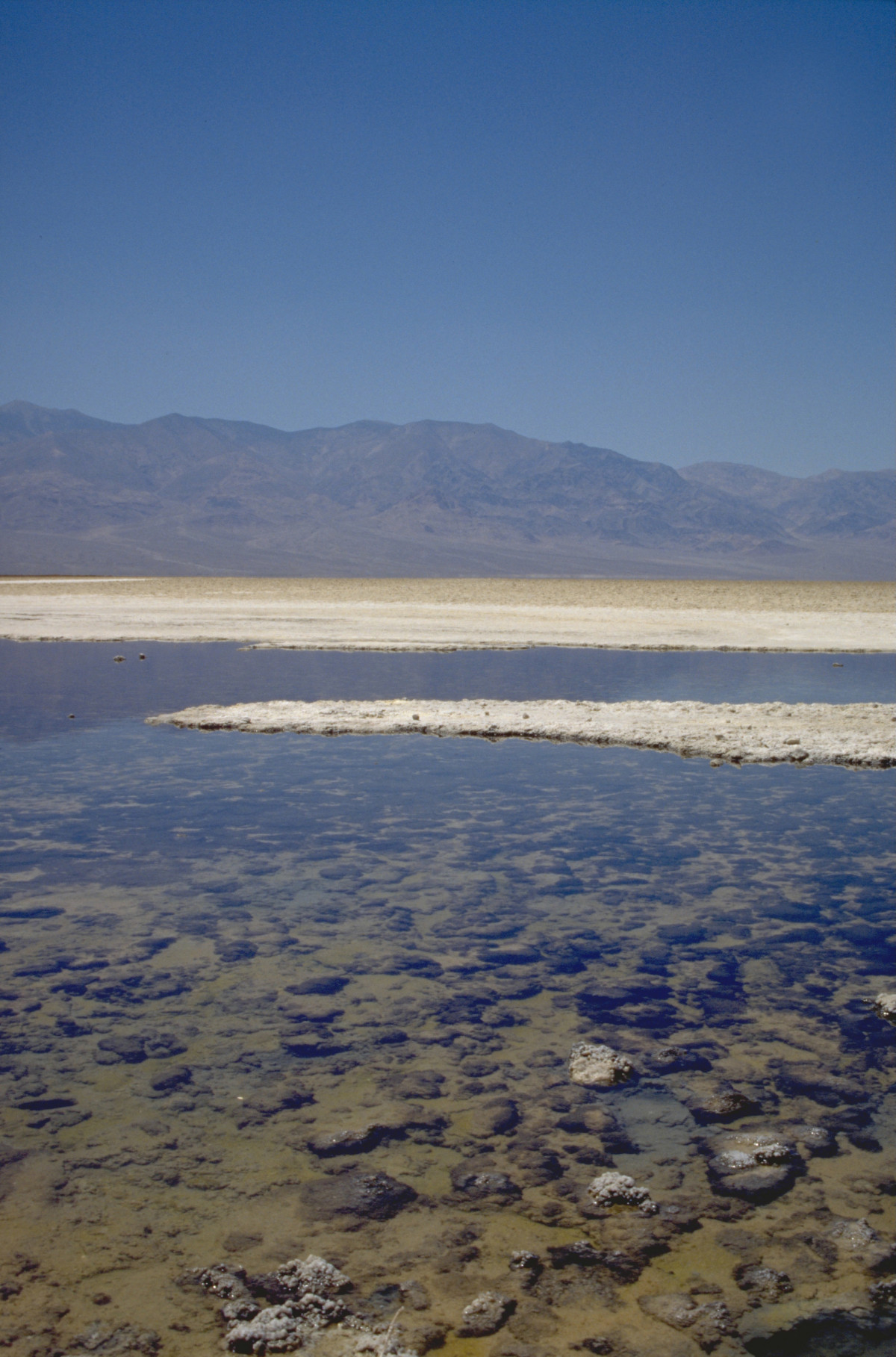 Thorndike Campground au-dessus du Death Valley – André does…