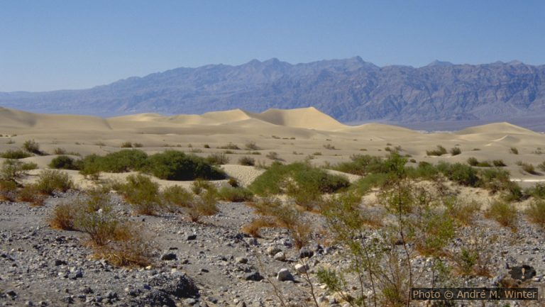 Durch das Death Valley