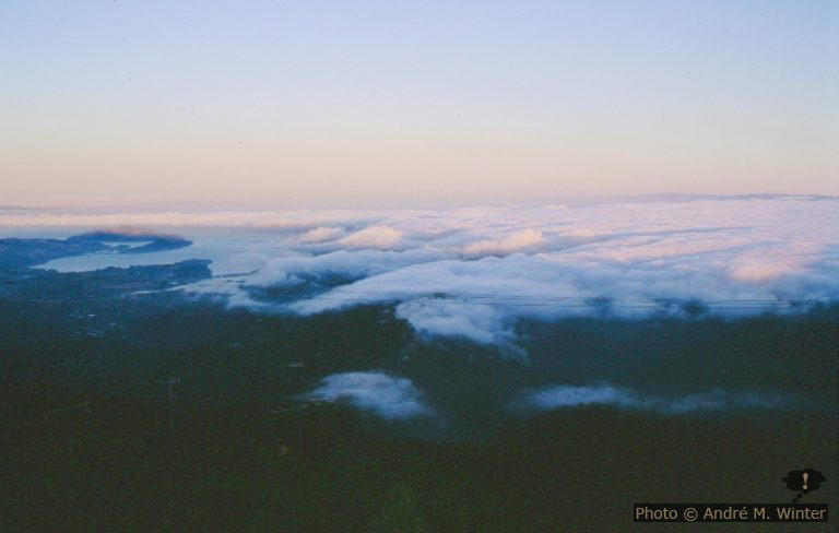 Pantoll Campground dans le Mount Tamalpais SP