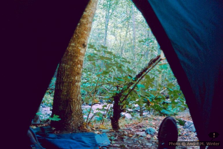 East Fork Willow Creek Campground dans le Six Rivers National Forest