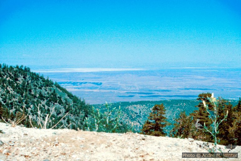 Landung krank in Los Angeles und Flucht in den Joshua Tree NP