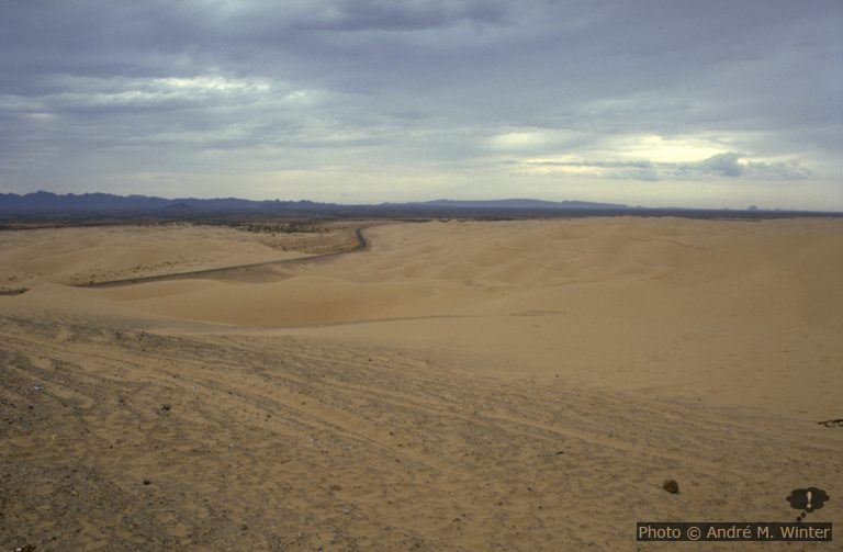 Unerwartet durch die Algodones Dunes