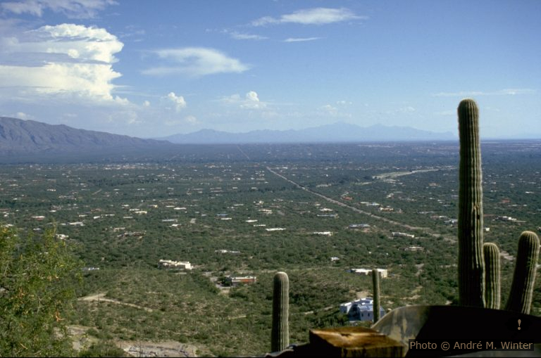 Organ Pipe Cactus NM und Santa Catalina Mountains bei Tuscon