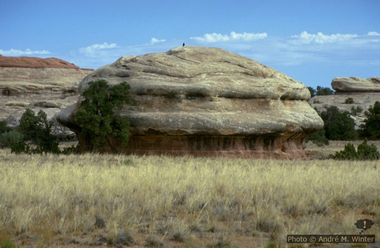 Squaw Flat Campground dans le  Canyonlands NP