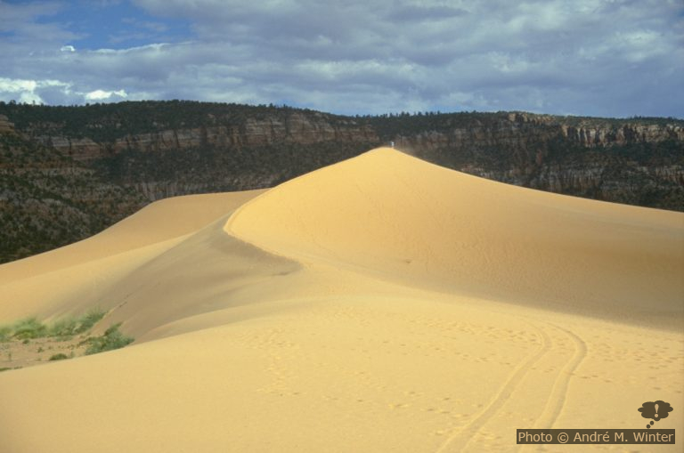 Coral Pink Sand Dunes SP