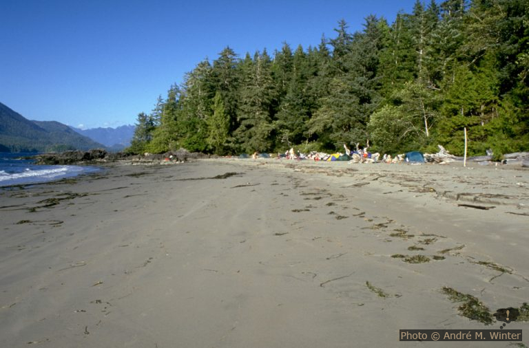 Plage au nord de Vargas Island