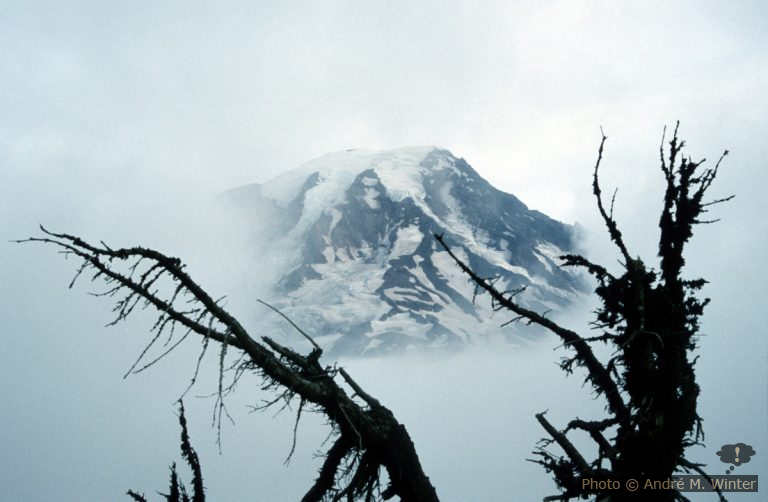 Cougar Rock Campground dans le Mount Rainier NP