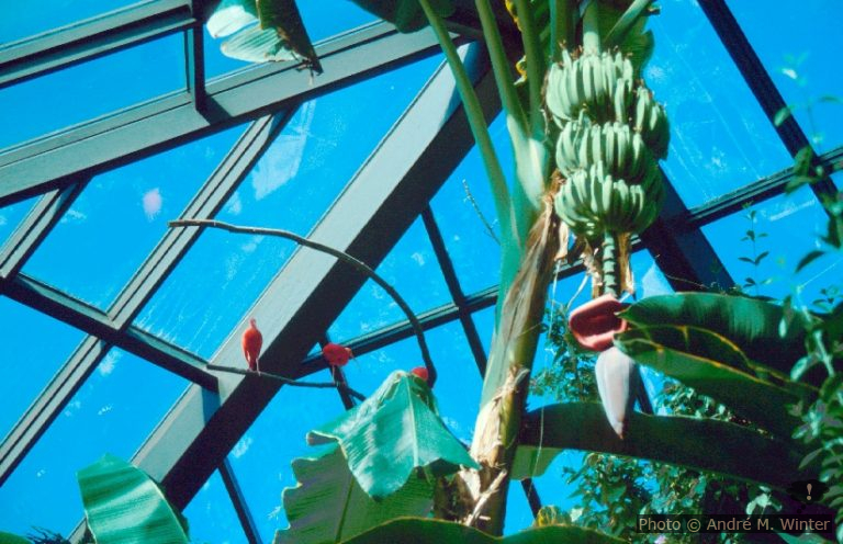 Die Rückreise: Vancouver, London, Wien