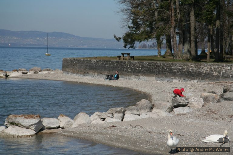 Camping municipal à Tougues