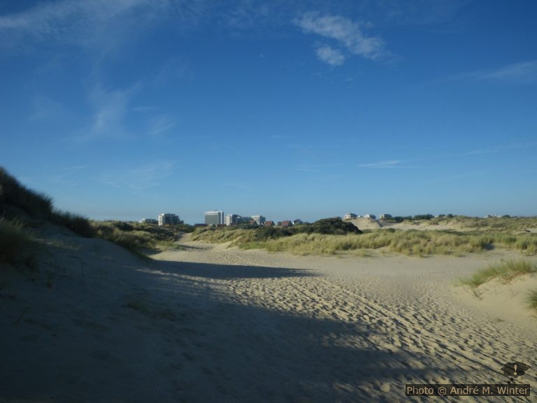 Camping à Adinkerk