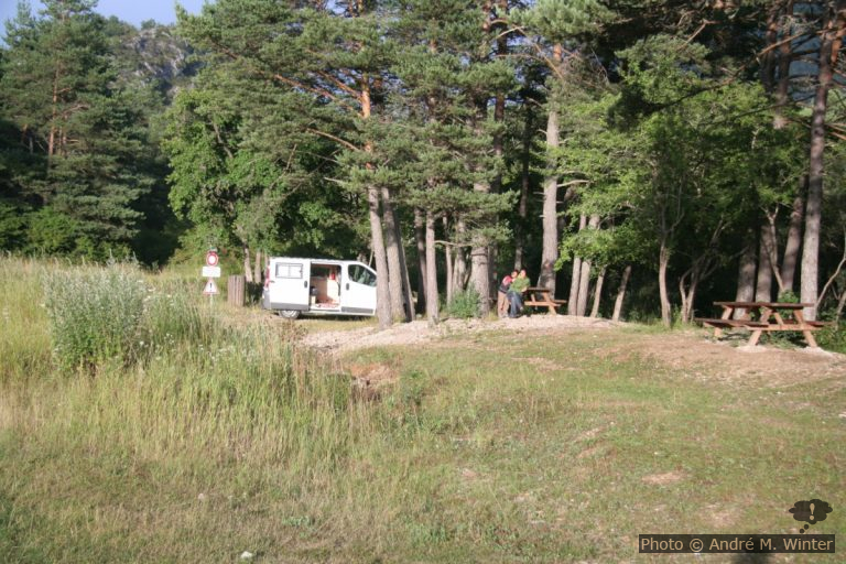 Pré du Pont Madame à la Martre