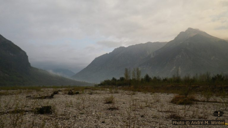 Tagliamento près de Venzone