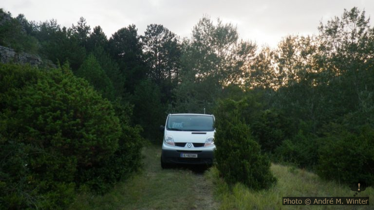 Source du Goutal dans le Larzac