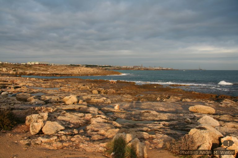 Lido Due Onde au sud de Monopoli