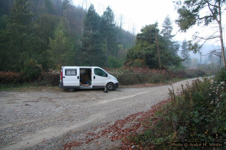 Forêt de Camponuovo