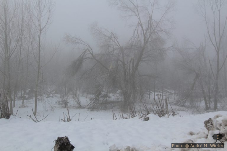 Au bord du Pô à Crémone