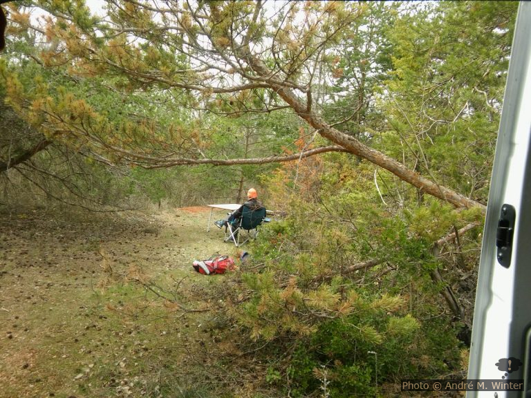 Caïre de Sarrasin ouest à Mazaugues