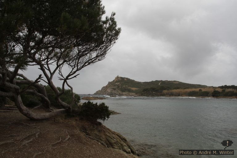 Camping au Jardin de la Ferme à Six-Fours-les-Plages