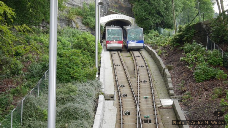 Dans la forêt au-dessus de Bergen