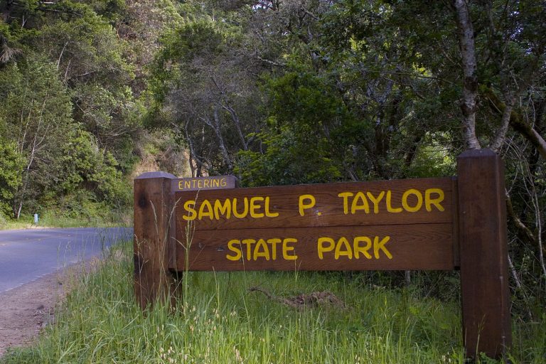 Samuel Taylor State Park Campground