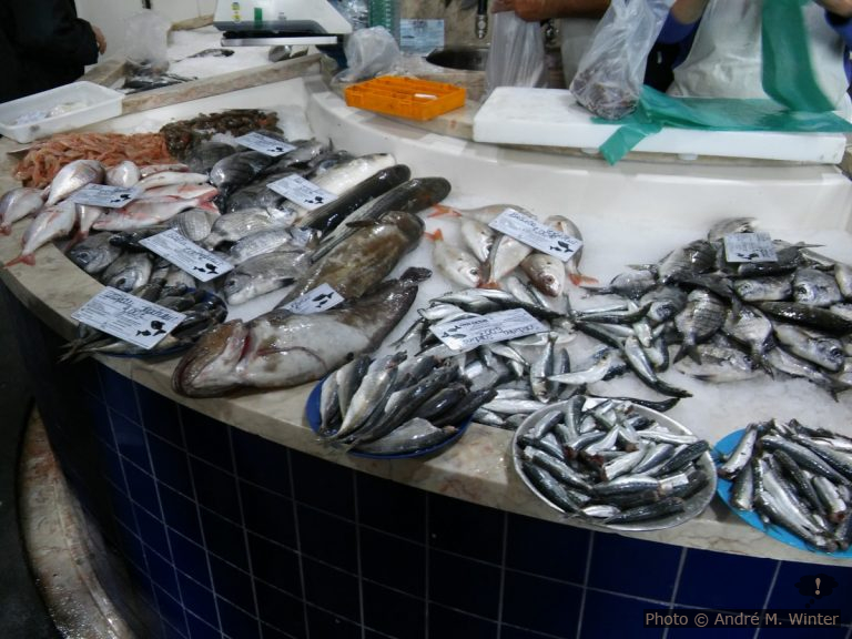 Camping Turiscampo à Lagos