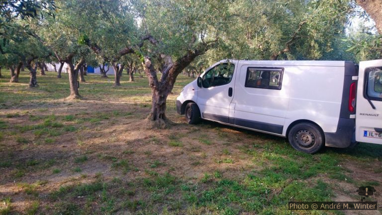 Notre emplacement dans l'oliveraie du Camping Meltemi