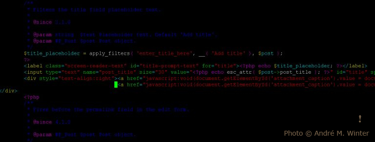 Titel per JavaScript ergänzen