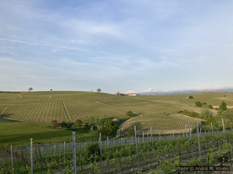 Vignobles de Vergne autour du camping