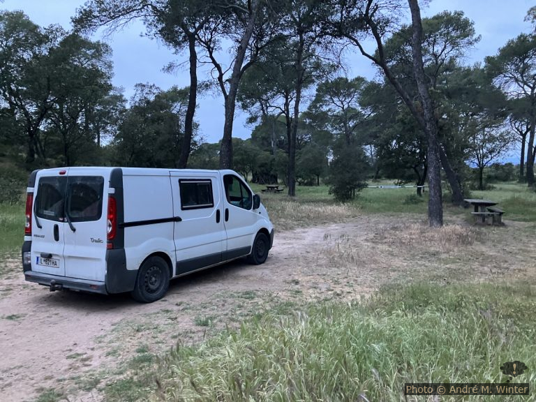 Notre Trafic dans la forêt de Palayson