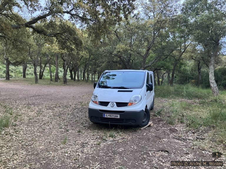 Notre Trafic dans le Vallon de Gambet