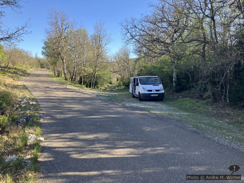 Notre Trafic au nord du Pié Cougù sur la Route Forestière des Indochinois