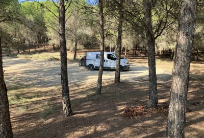 Notre trafic dans la forêt d'Ejea de los Caballeros