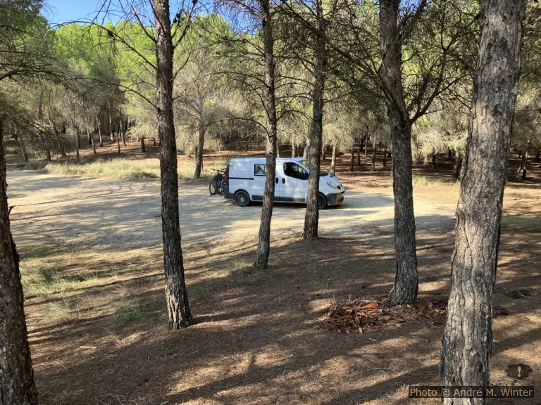 Notre trafic dans la forêt d'Ejea de los Caballeros