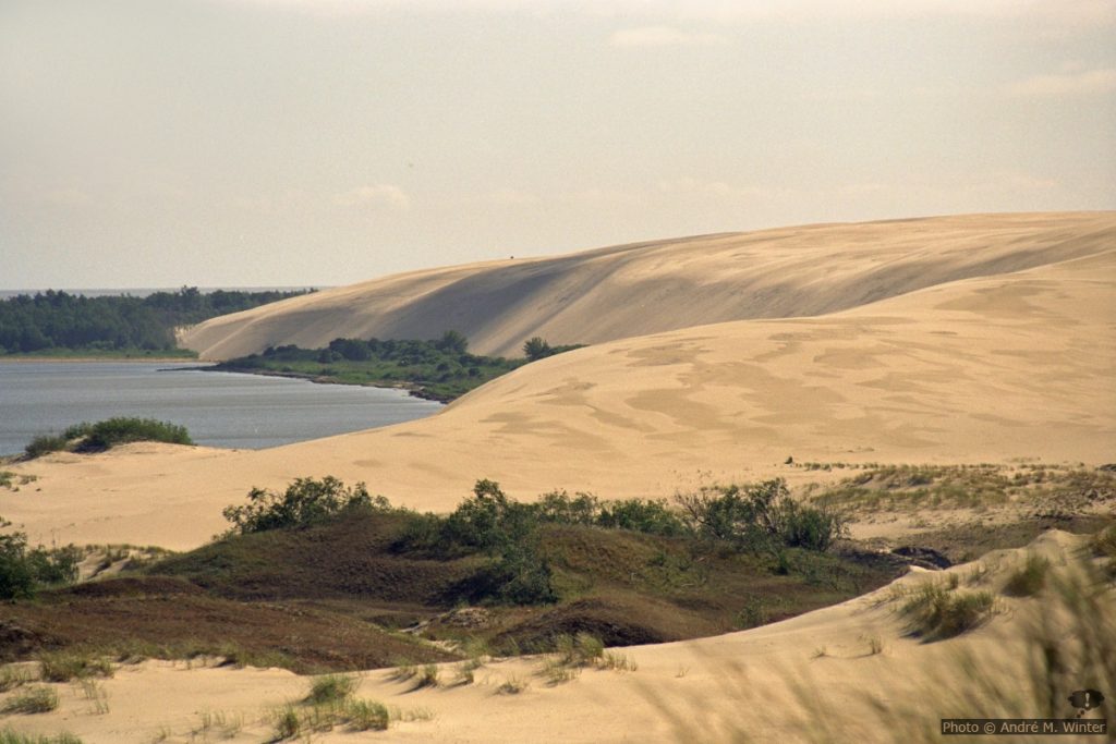 Düne der Kurischen Nehrung