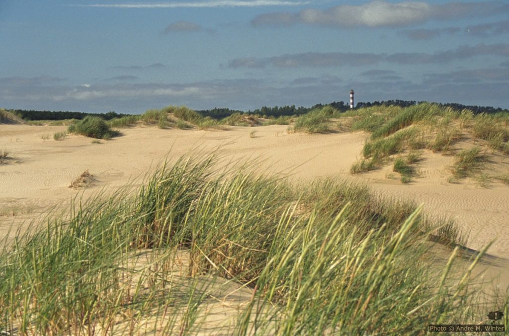 Leuchtturm von Nida in den Dünen