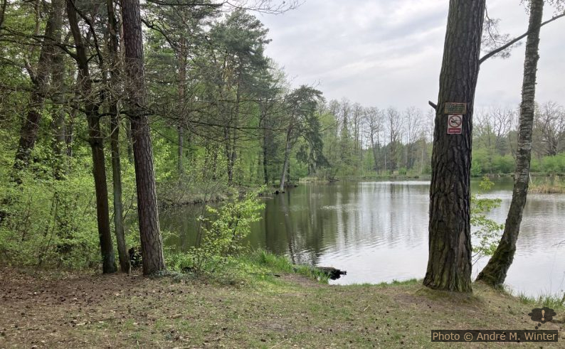 See an der Linda auf der Höhe des AURA-Camps