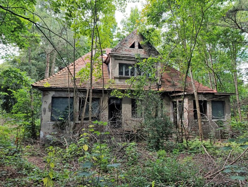 Ruine Ozorkowska 50. Quelle Cezary Kanar