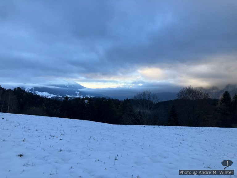 Unter WordPress gelöschte Medien wiederherstellen