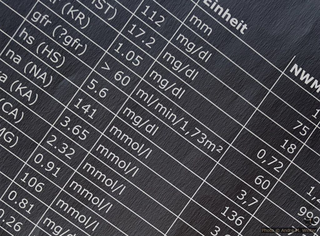 Blutbild mit unterklärten Kurzformen