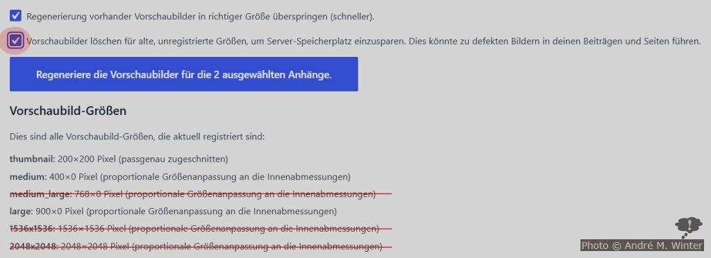 Regenerate Thumbs Plugin Interface