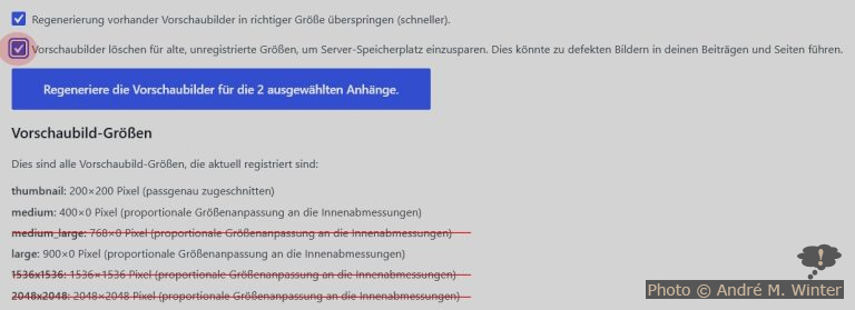 Regenerate Thumbs Plugin Interface